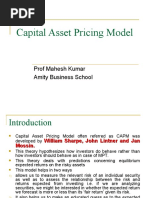 Capital Asset Pricing Model