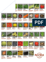 Vegetables Specification POSTER