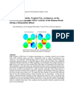 EEG Psychedelics Study