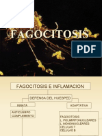 FAGOCITOSIS