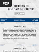 Pruebas de Bondad de Ajuste - Formato CETAM PUCP