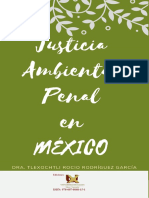 Libro Justicia Penal Ambiental PUBLICAR