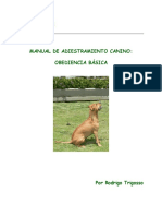 Manual de Adiestramiento Canino: Obediencia Básica