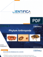 Clase5 Arthropodos UCSUR