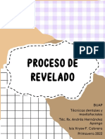 Proceso de Revelado