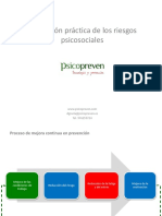 Evaluacion Practica de Los Riesgos Psicosociales