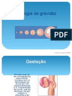 Fisiologia Da Gravidez SLAIDE