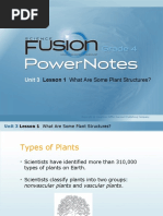 Unit 3: Lesson 1 What Are Some Plant Structures?