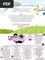 Mapa Conceptual Paola