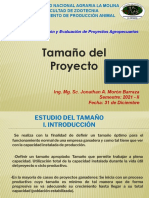 Tamaño Del Proyecto