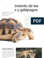 6 Mantenimiento de Las Tortugas y Galápagos