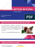 Trastornos Del Ciclo de La Urea