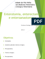 Enterotomia, Enterectomia e Enteroanastomose