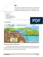 Daur Biogeokimia