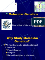 Molecular Genetics: The HOW of Heredity