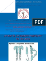 Fisiologia Reproductiva