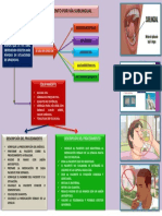 Administración de Medicamento Vía Sublingual - Enfermeria Iii Ciclo - Sonia Moran Ramos