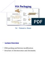 DNA Packaging