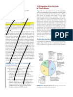 Regulation of Cell Cycle