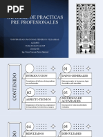 Practicas Pre Profesionales - Informe