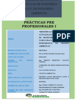 Informe Final Practicas Pre-Profesional