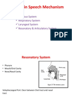 Systems in Speech Mechanism: Nervous System Respiratory System Laryngeal System Resonatory & Articulatory System