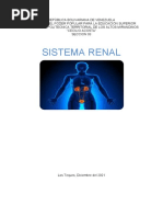 Sistema Renal