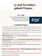 Primary and Secondary Lymphoid Organs - Aditi Singh