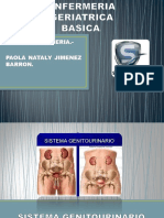 Sistema Genitourinario PDF