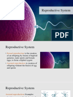 Biology 2 Lecture 10 - Reproductive System