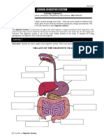 Lesson: Digestive System: Activity 1