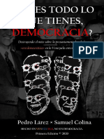 Pedro Lárez, Samuel Colina - Eso Es Todo Lo Que Tienes, Democracia