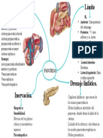 Generalidades Anatómicas Pancreáticas.