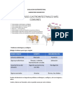 Evaluacion Gastrointestinal