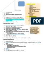 Estrepto, Estaphylo y Mastitis