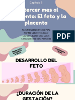 Capitulo 8 Del Tercer Mes Al Nacimiento El Feto y La Placenta