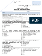 Prueba 2 Glucidos y Lipidos Biologia 1°medio