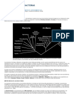 Generalidades de Bacterias