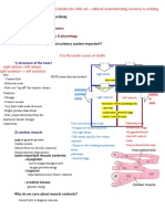 Kami Export - Cardiovascular System Lecture Outline 1st Period