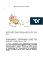 Morfologia Das Bactérias