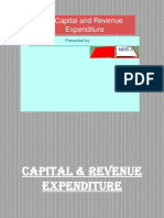 Capital and Revenue Expenditure