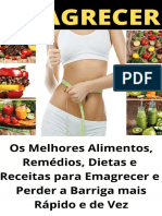 Ebook Dietas Remedios e Receitas Emagrecer Rapido MTP