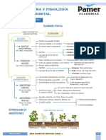 Biologia - Estructura y Fisiologia Vegetal