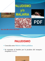 PALUDISMO