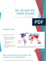 Cannabis en Cuidados Paliativos