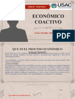 Economico Coactivo