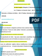 Proceso Penal Actualizado