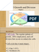 Cell Cycle - Meiosis Notes