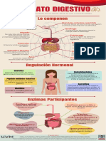 Infografía SD