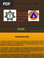 Plan de Trabajo Seguridad Publica Municipal Y Protección Civil